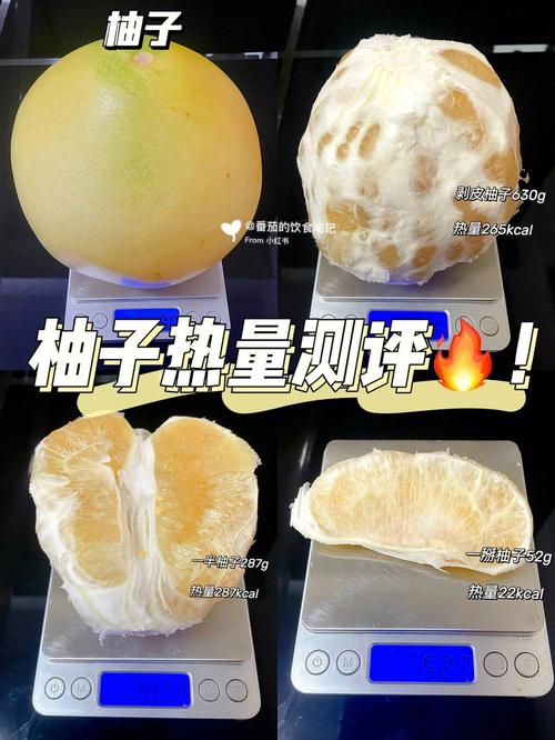 柚子可以减肥吗的相关图片