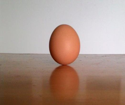 生鸡蛋怎么立起来的相关图片